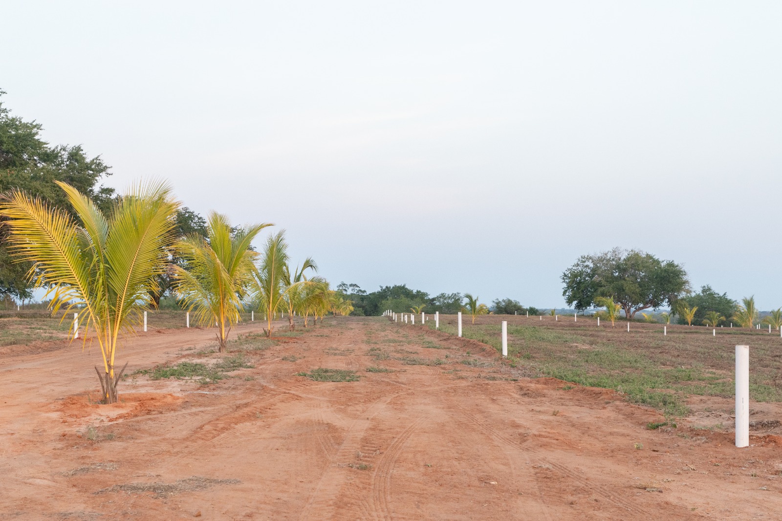 TERRENOS EN VENTA EN PUERTECITO, PUERTO ESCONDIDO , OAXACA